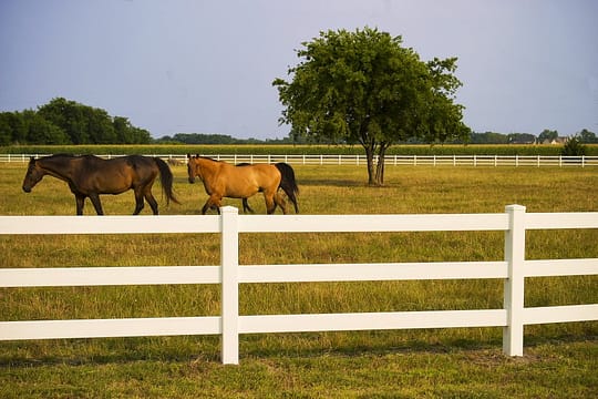 la fence