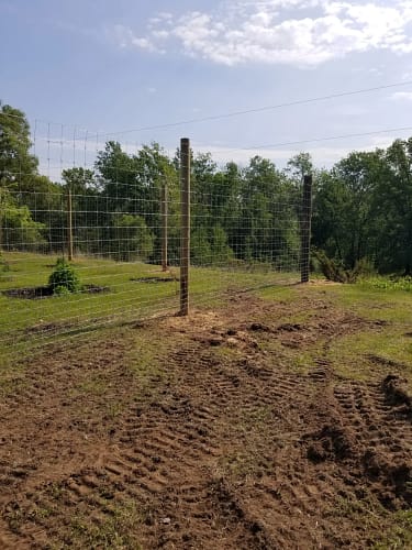 high woven wire deer fence 3